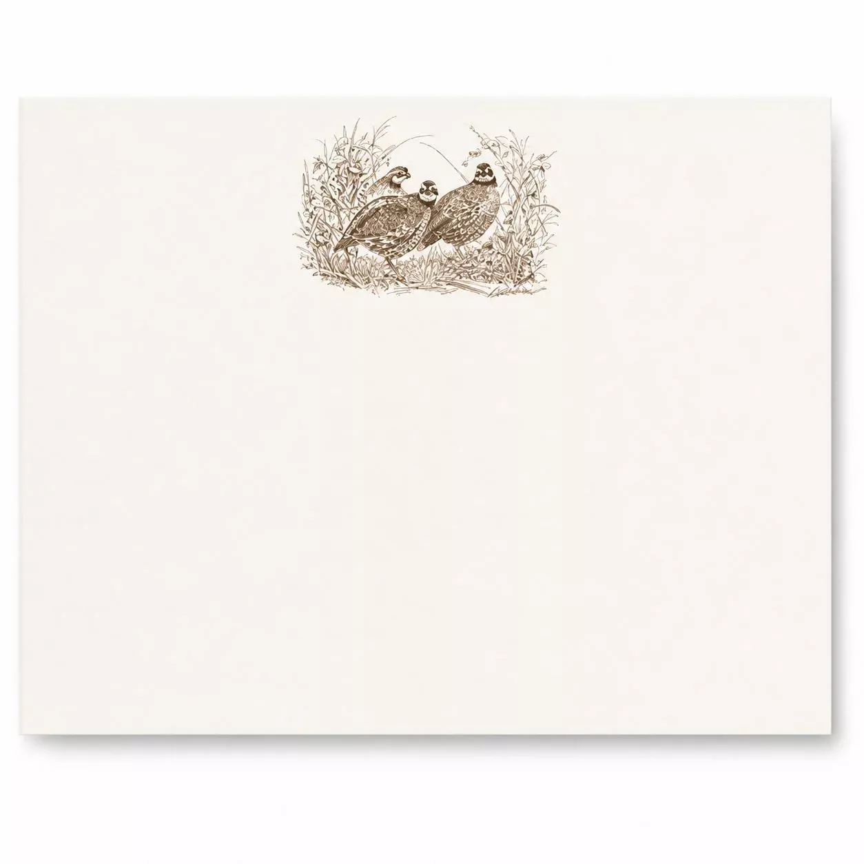 Sporting Note Card Sets