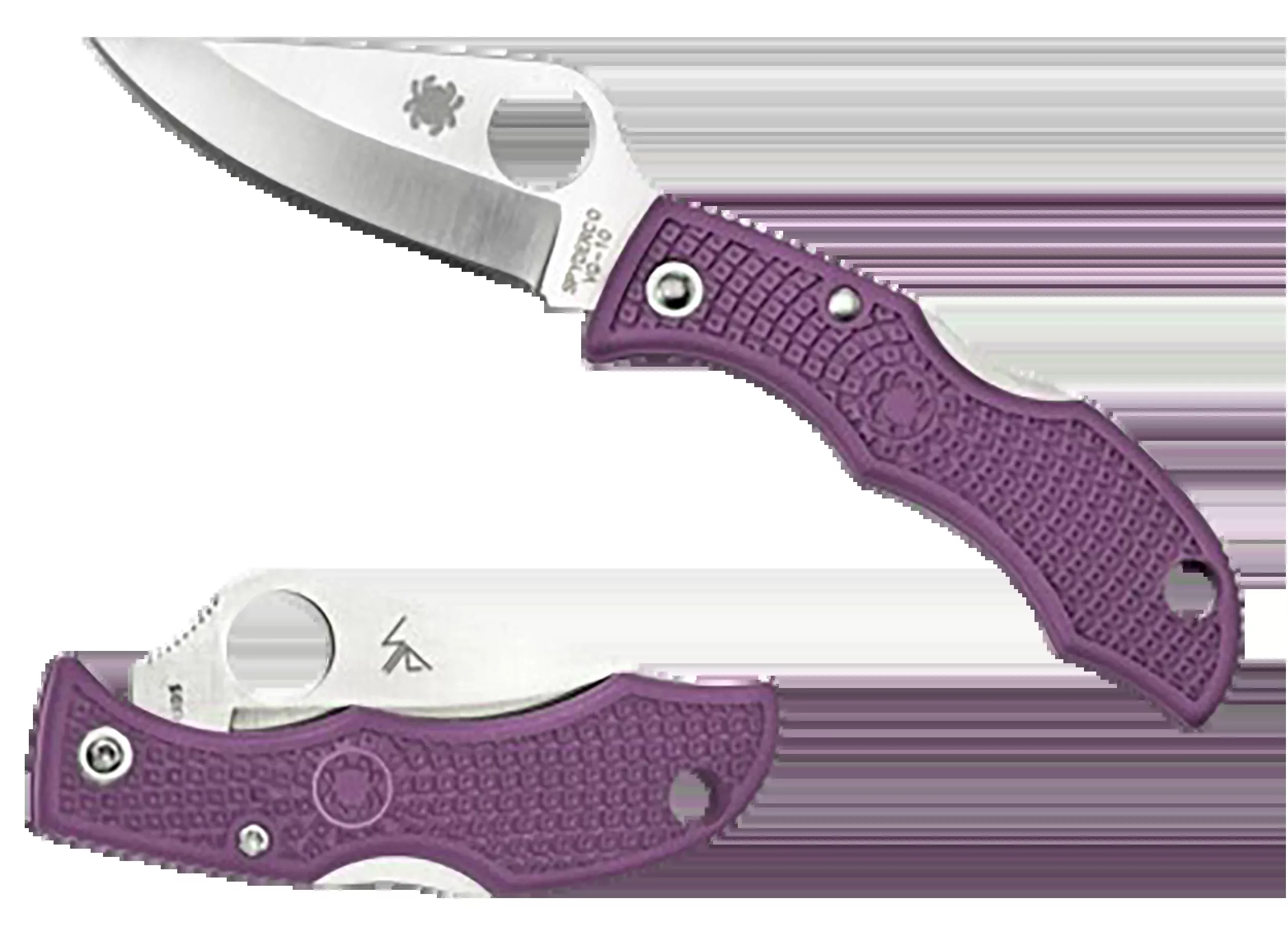 Spyderco Ladybug 3 Folding Knife, VG-10 Plain Edge, Purple FRN Handle, Back Lock - LPRP3