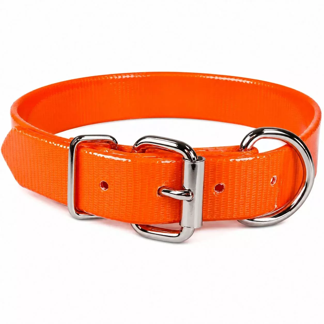 Sunglo Dog Collar - 3/4"