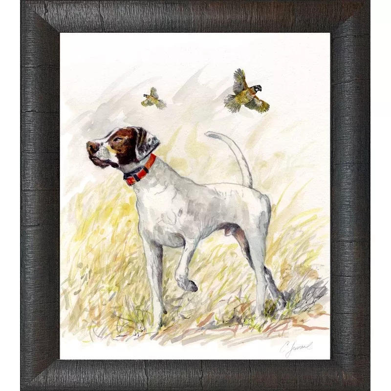 Upland Bird Dog Framed Prints