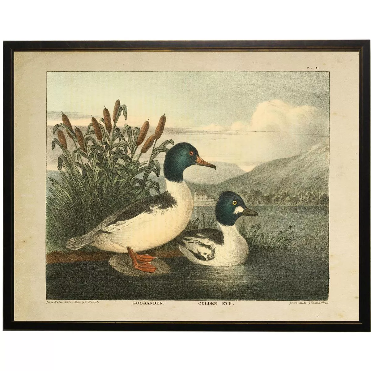 Vintage Ducks Framed Print