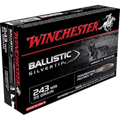 Winchester SBST243 243 55 GR Ballistic Silvertip 20 Rounds